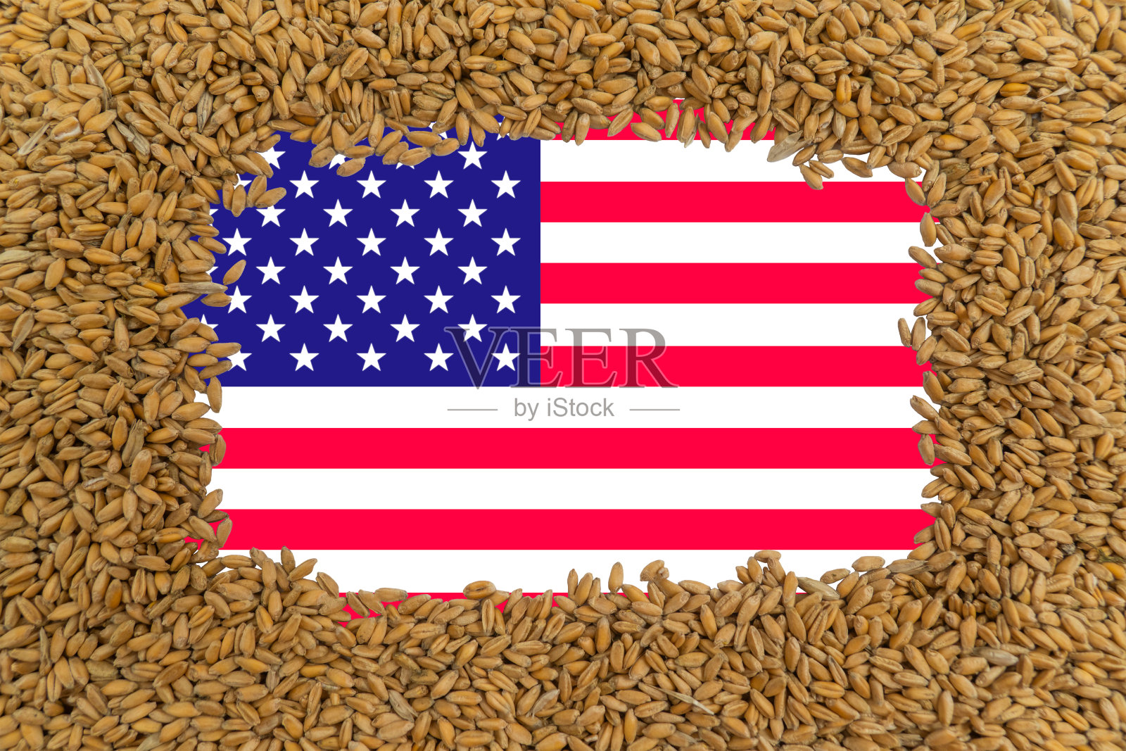 美国国旗的背景是成熟的麦粒的矩形框架照片摄影图片