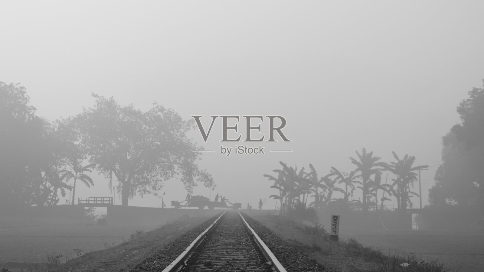 多雾的冬日早晨照片摄影图片