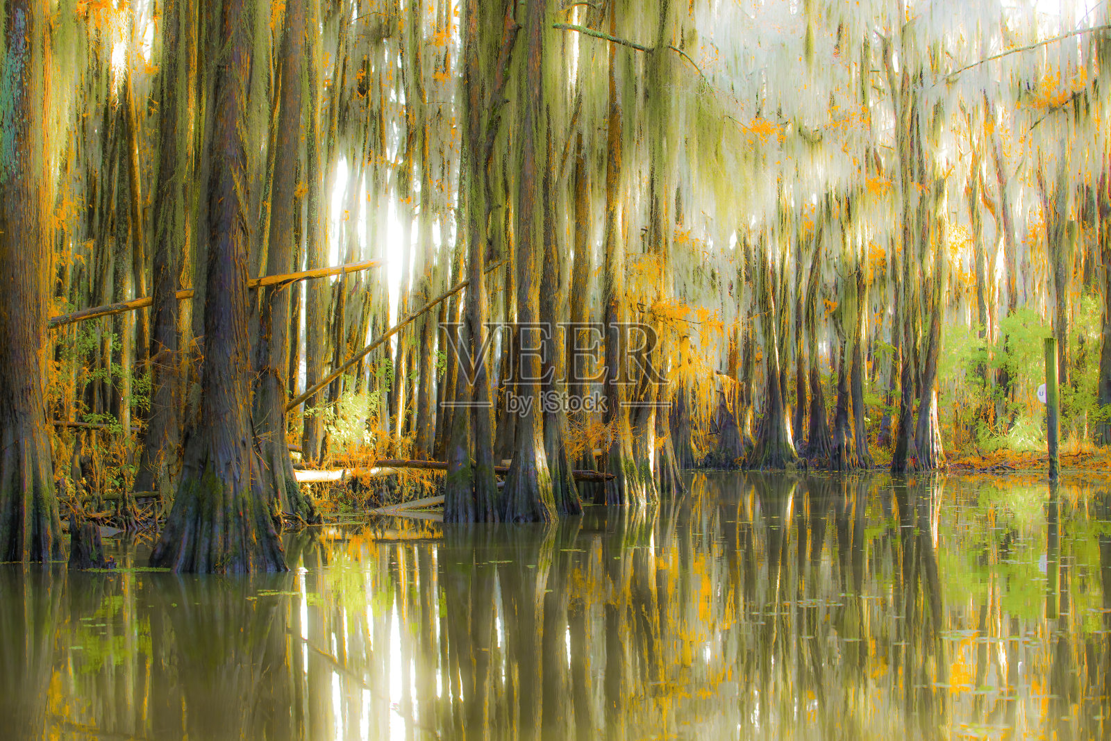 秋季的卡多湖 3照片摄影图片