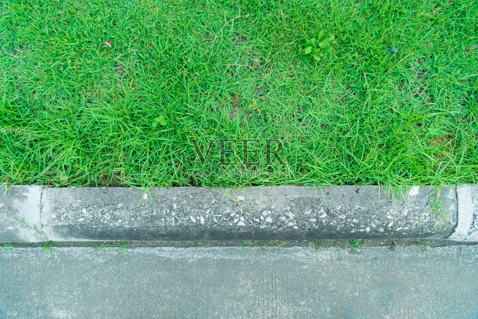 顶视图的绿色草地与旧混凝土板边界。绿色的草。绿色草地的边缘和人行道的混凝土边缘。照片摄影图片