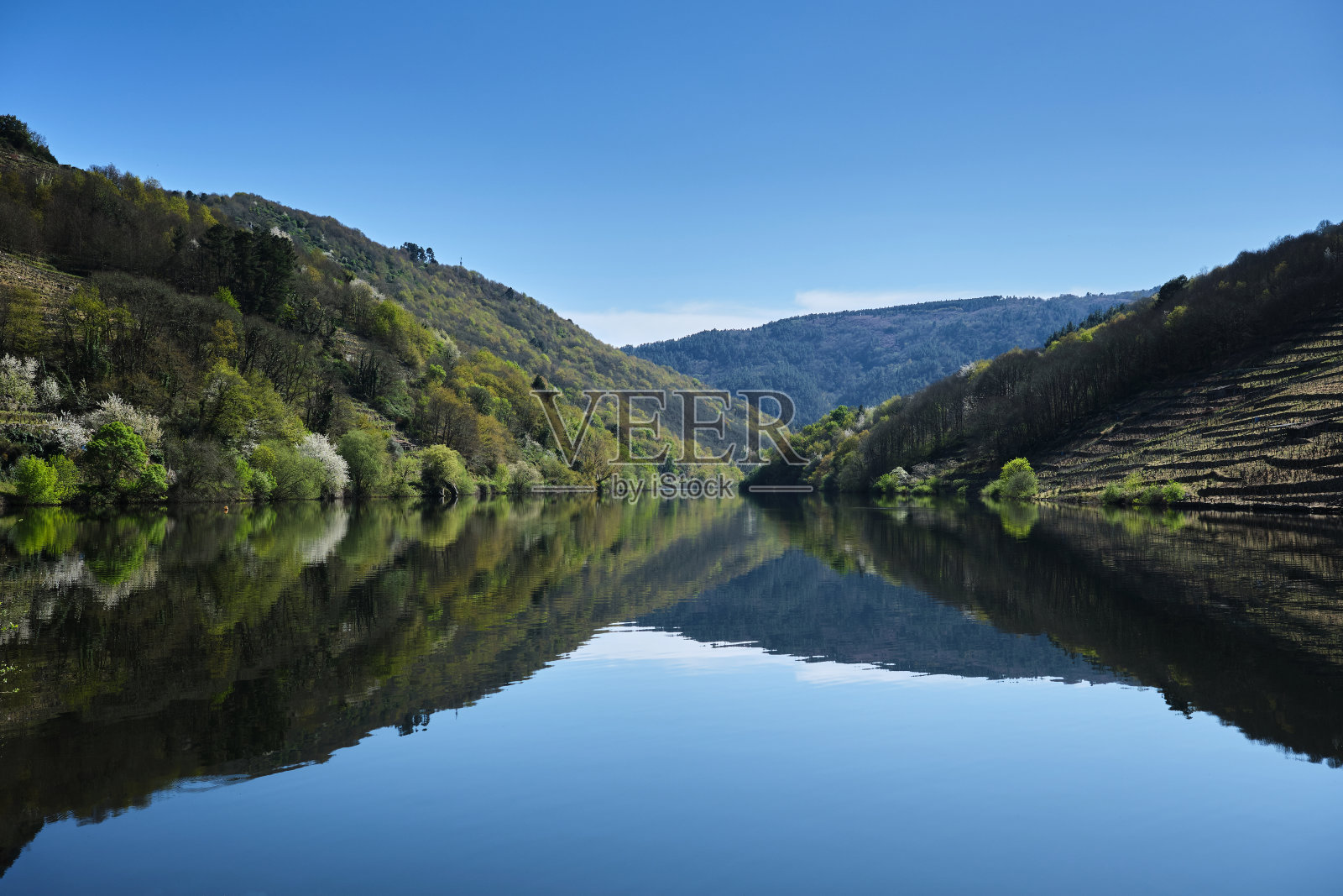 河边的春天照片摄影图片