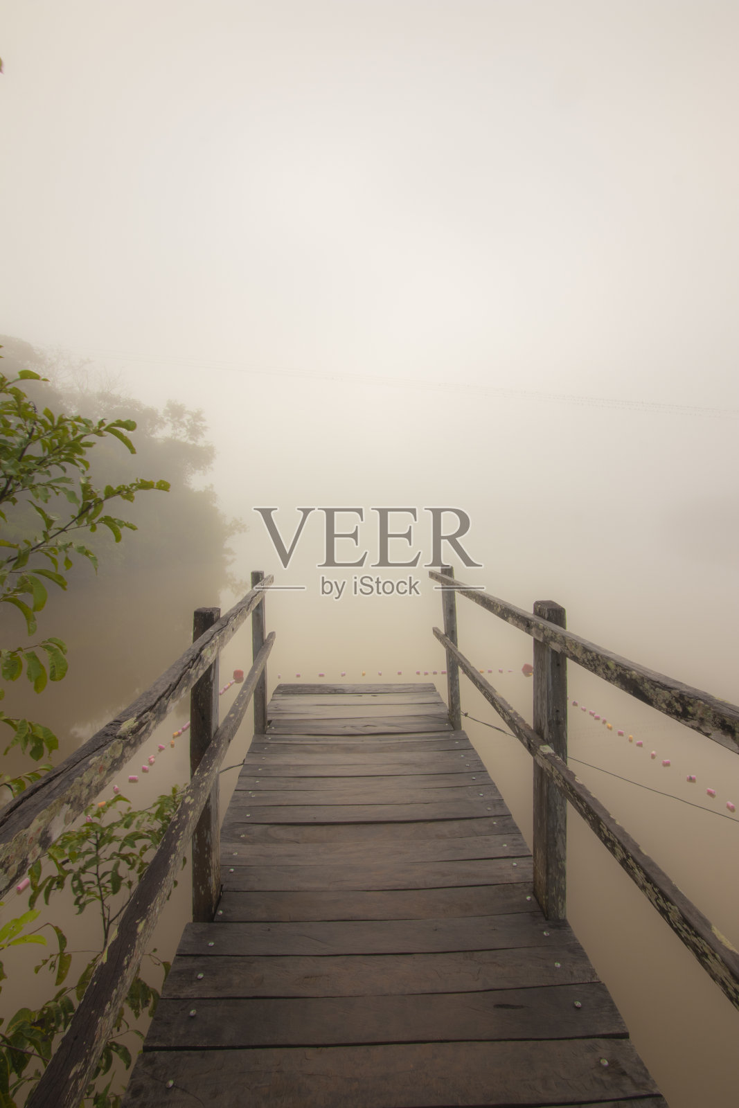 巴西大草原上的神奇日出照片摄影图片