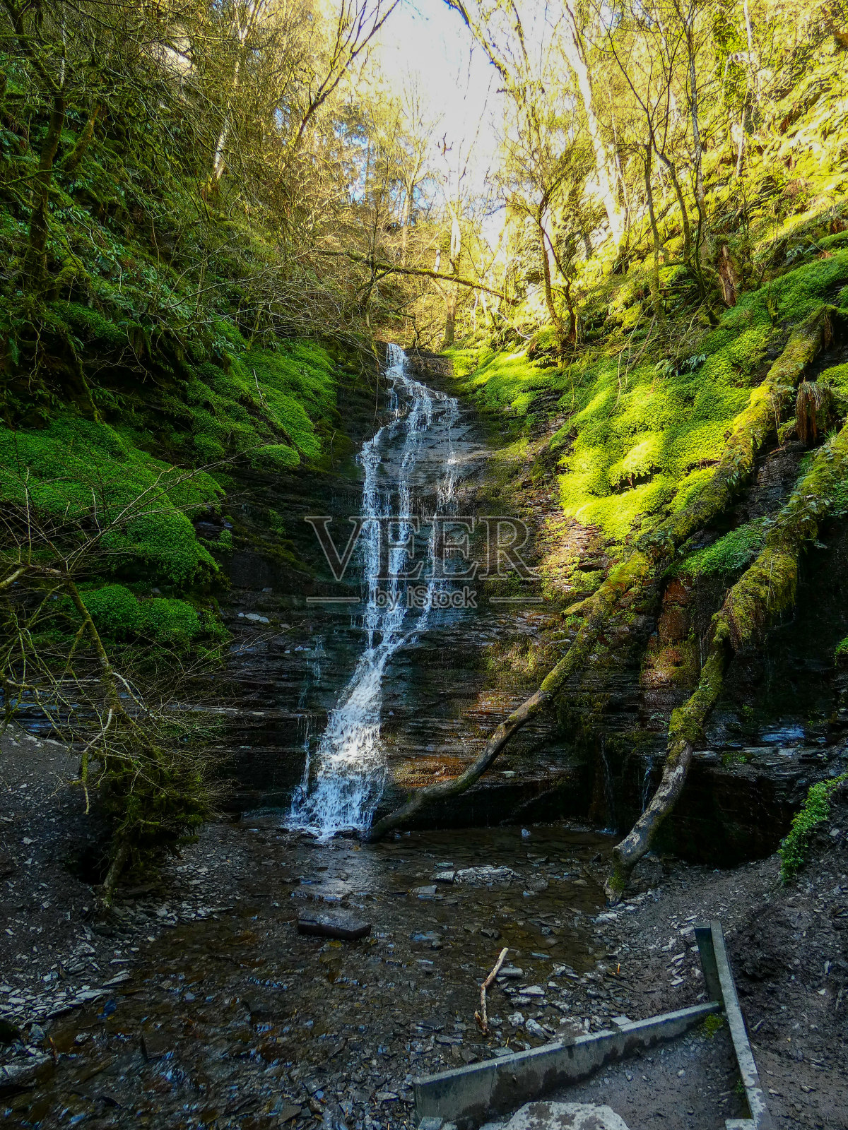 水折断它的脖子照片摄影图片
