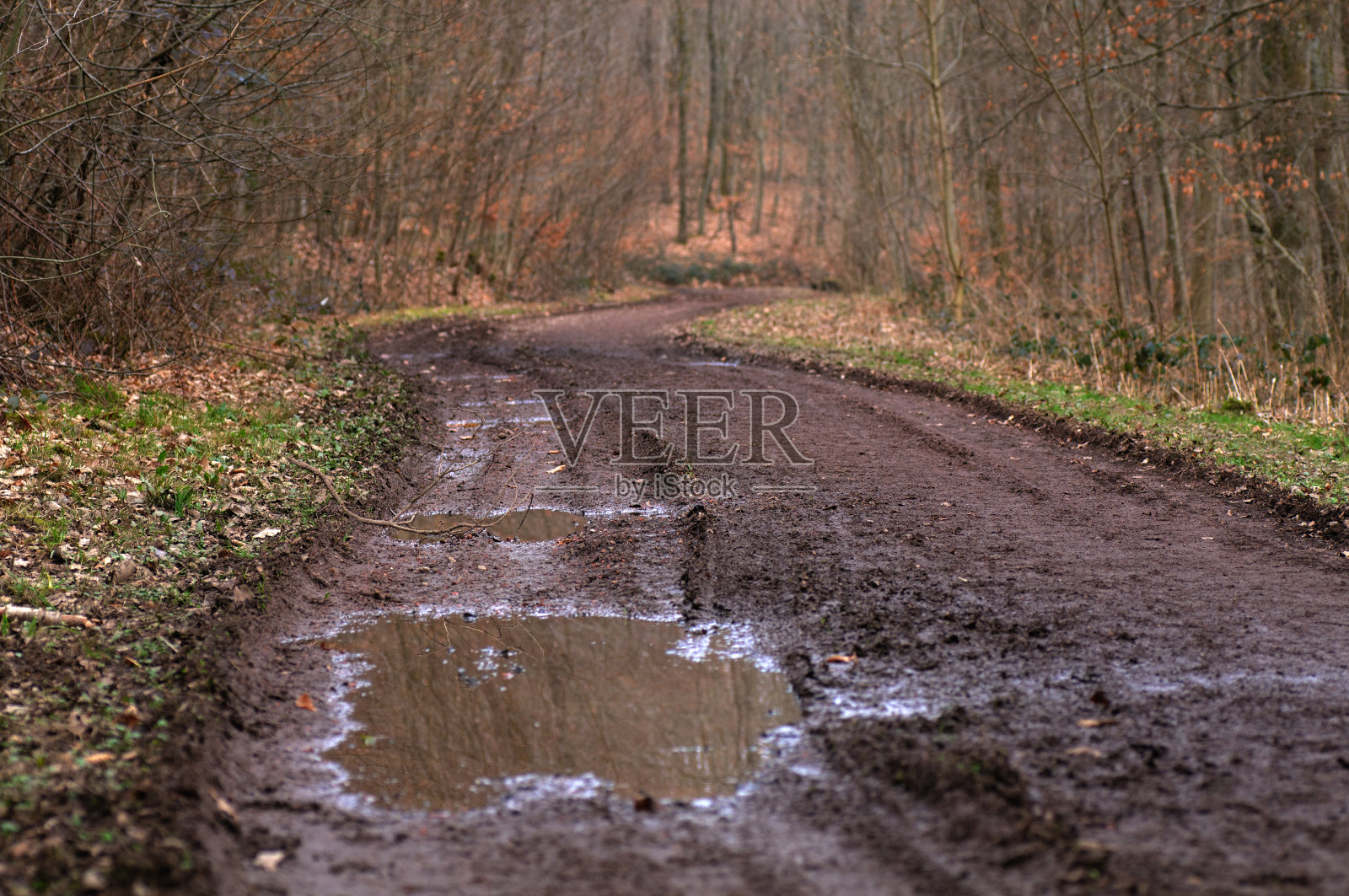 秋天的风景照片摄影图片