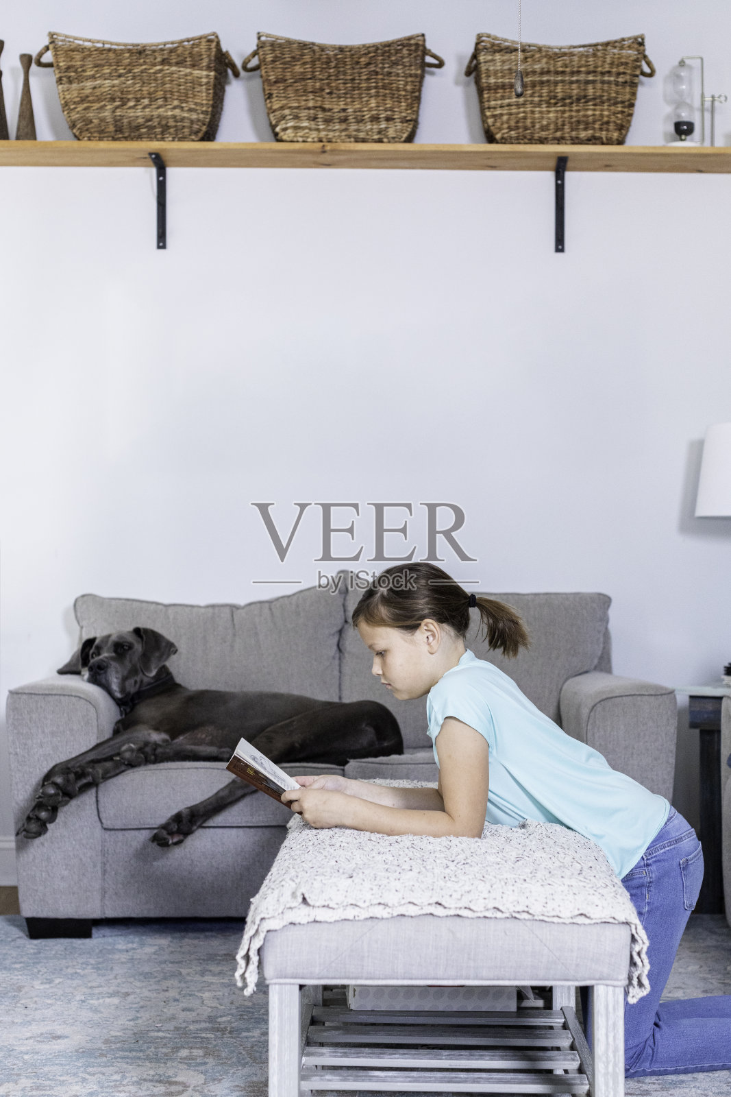 下午在家读书照片摄影图片