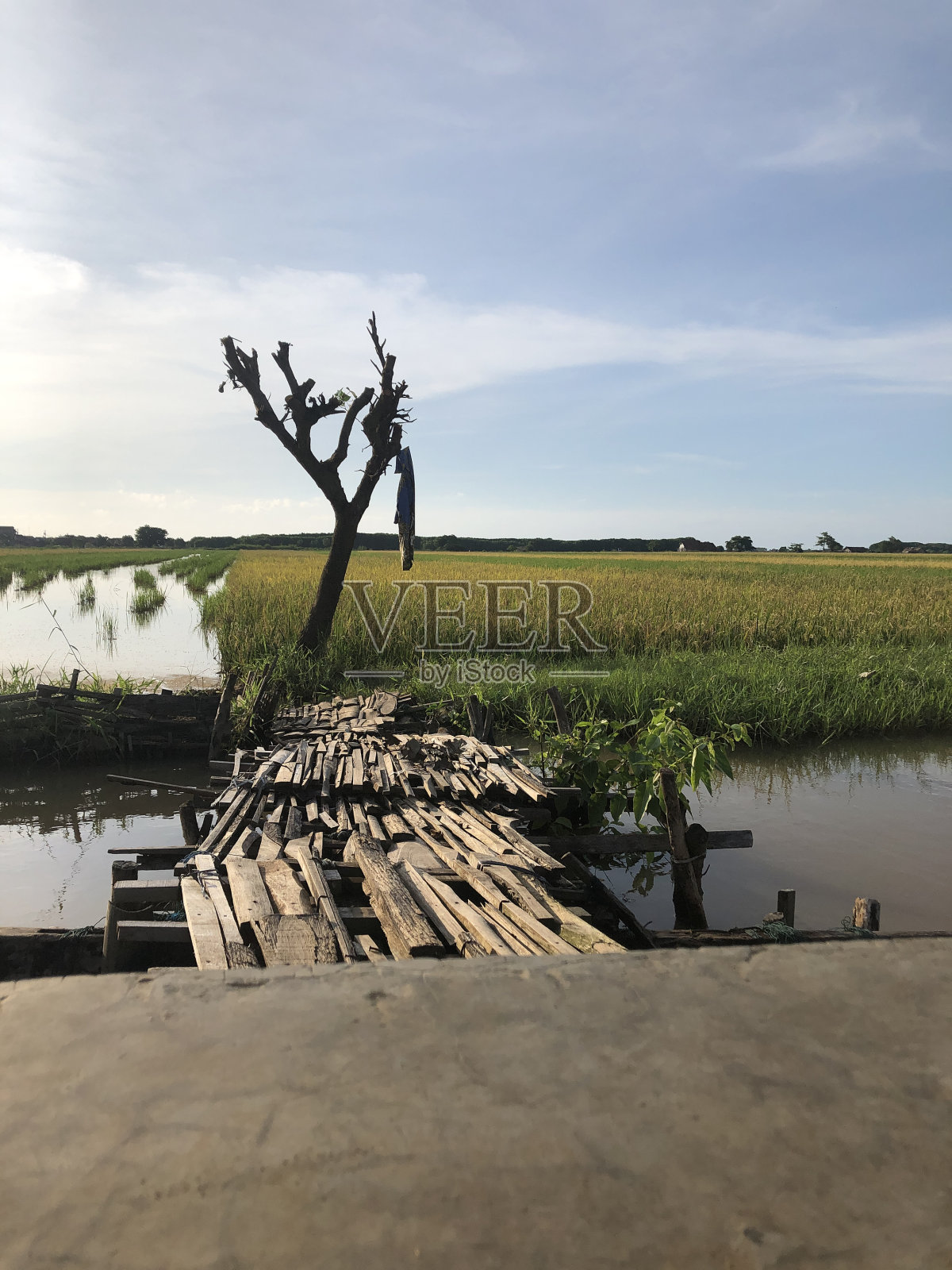 木桥照片摄影图片