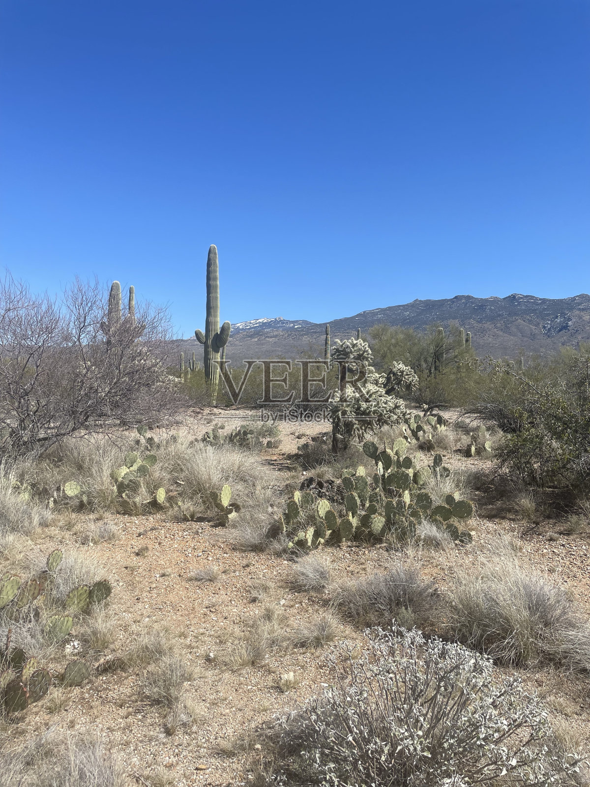 云母观径照片摄影图片