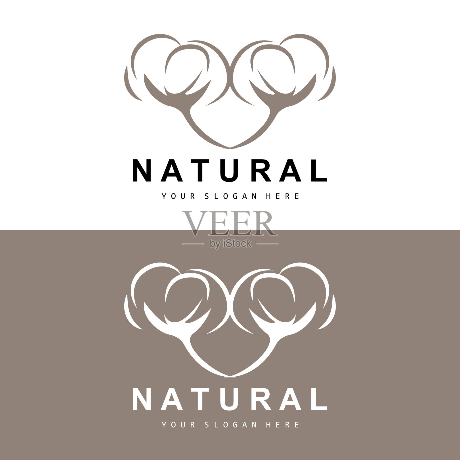 棉花标志,天然生物有机植物设计,美容纺织品和服装载体,柔软的棉花花插画图片素材