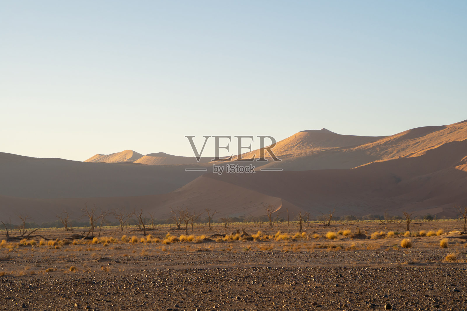 纳米比亚沙漠之旅,南非纳米比亚的沙丘。日落时的自然景观背景。著名的旅游景点。大峡谷的沙子照片摄影图片