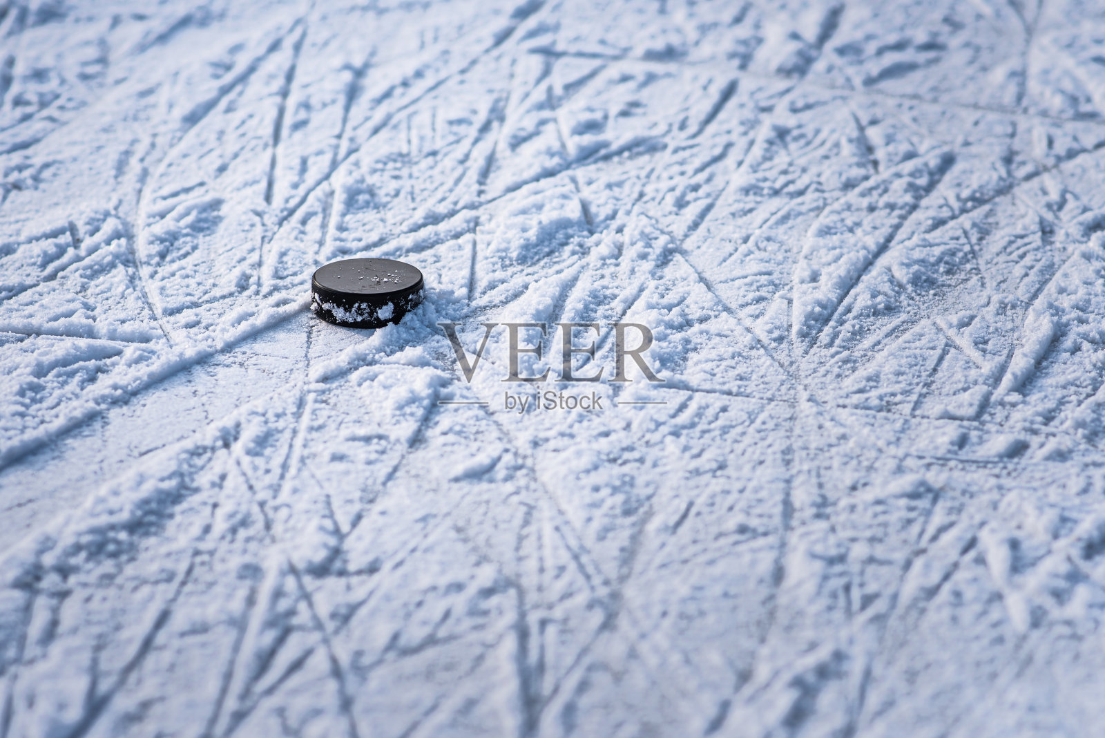 一个黑色的冰球躺在体育场的冰上照片摄影图片