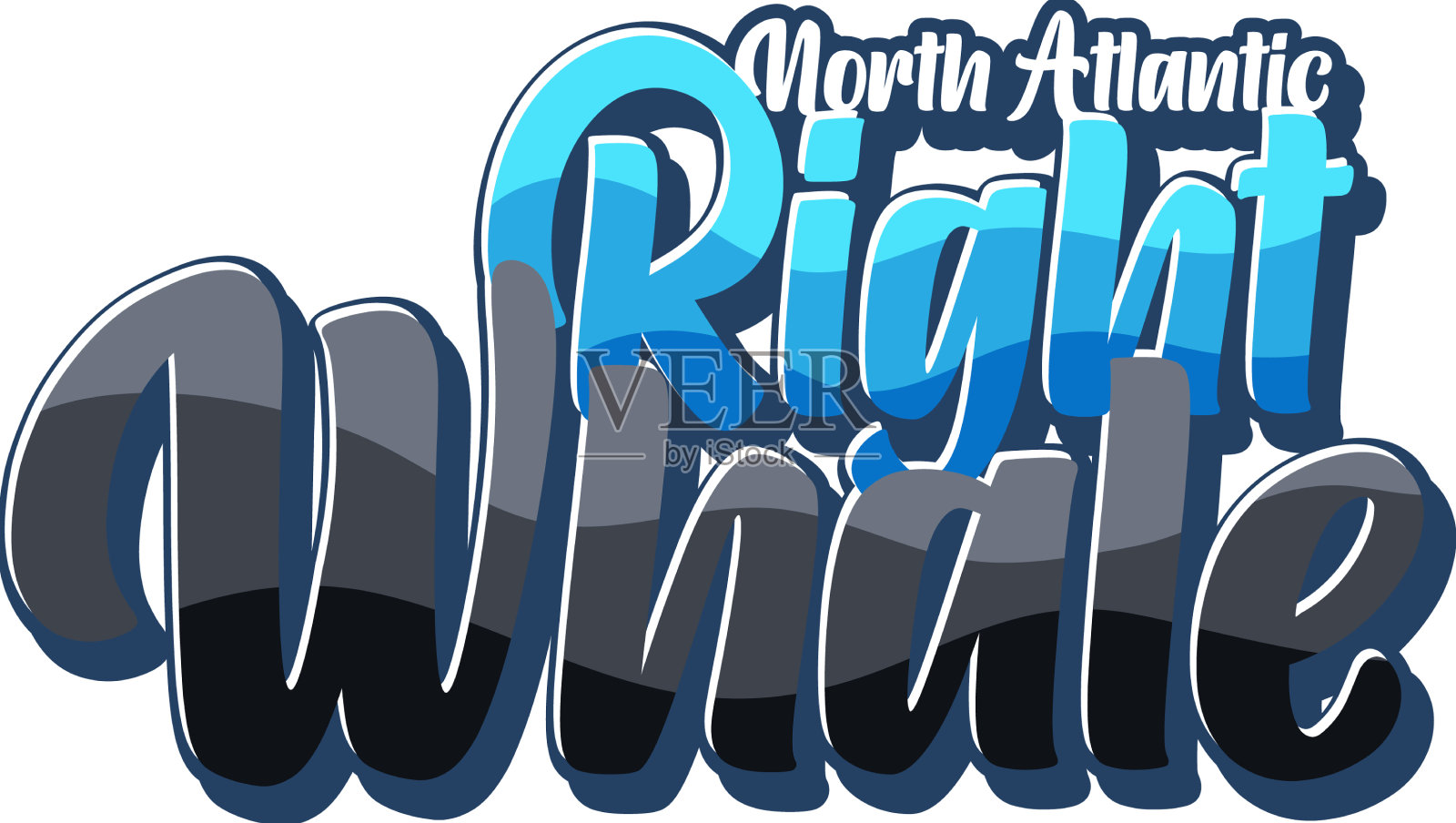 露脊鲸标志文本设计元素图片