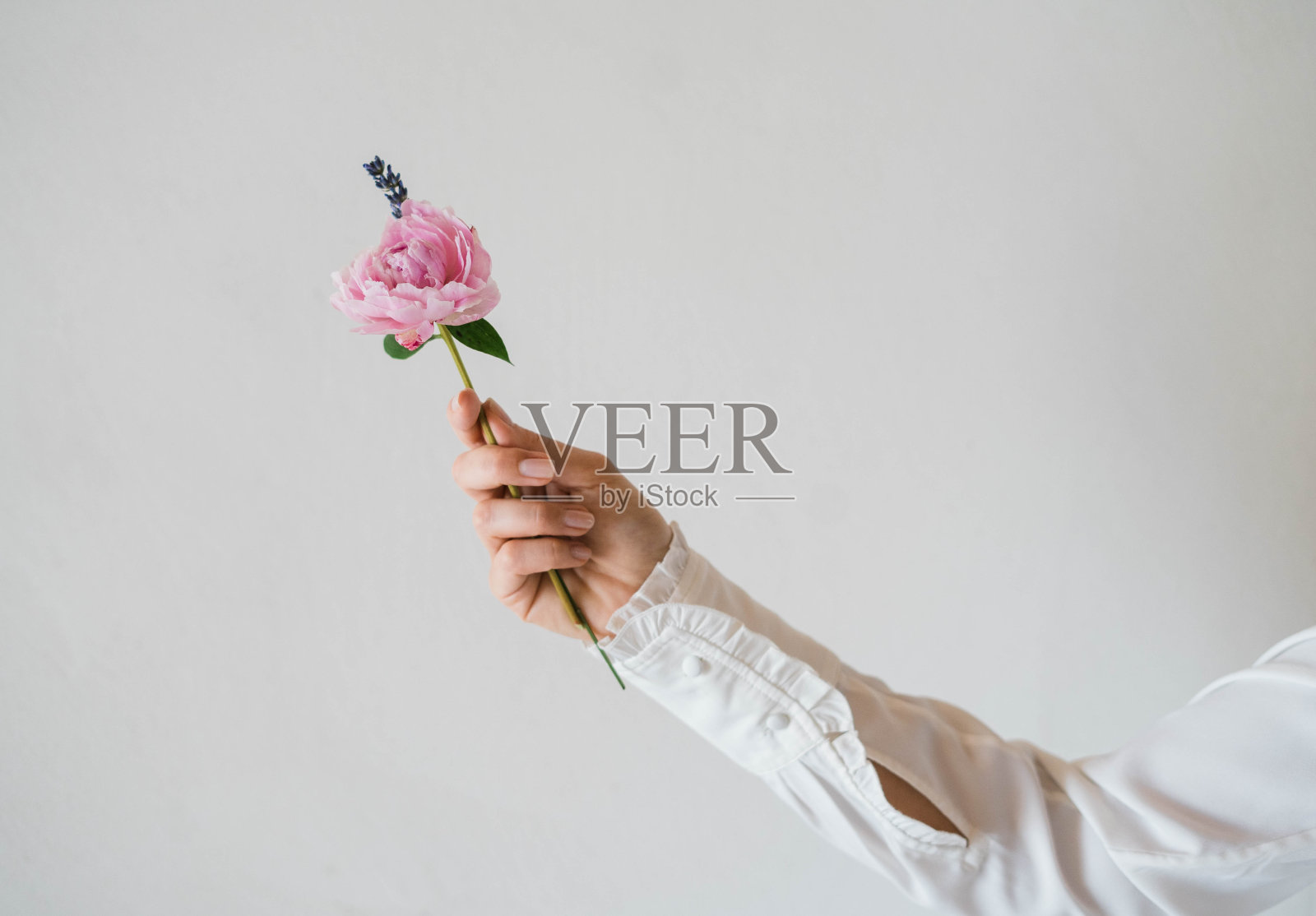 女人拿着花的手照片摄影图片