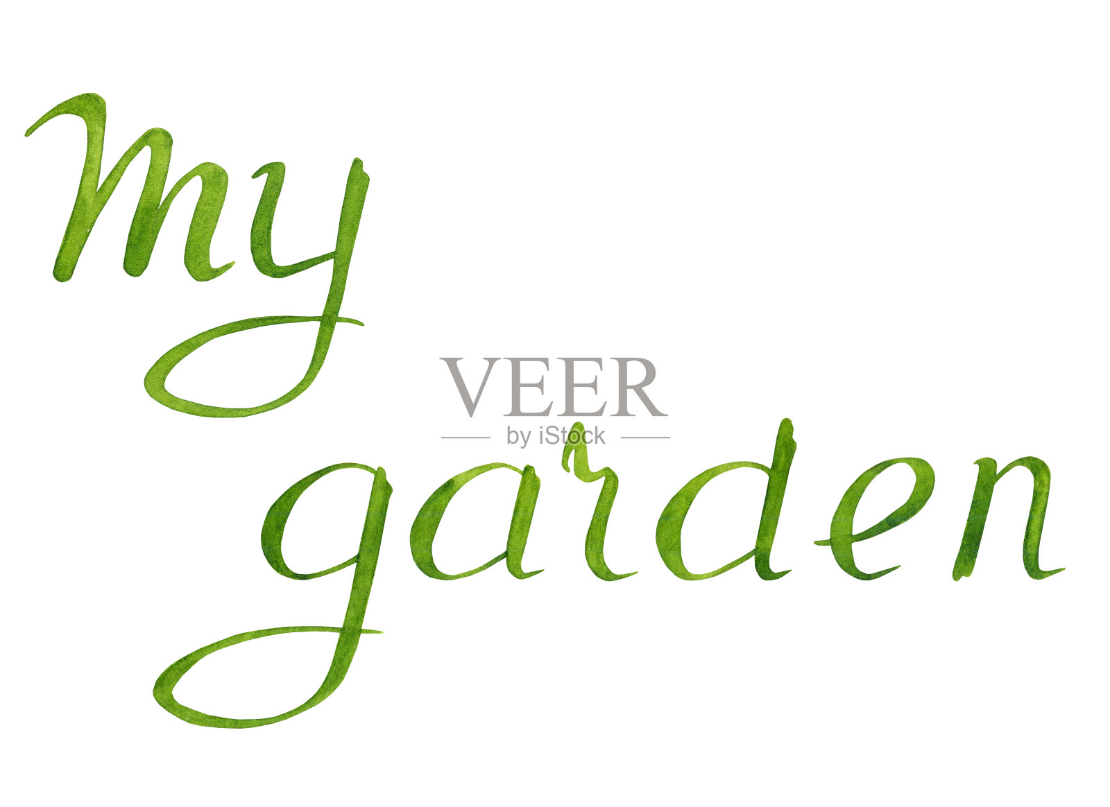 水彩画题词我的花园。手绘字体。插画图片素材