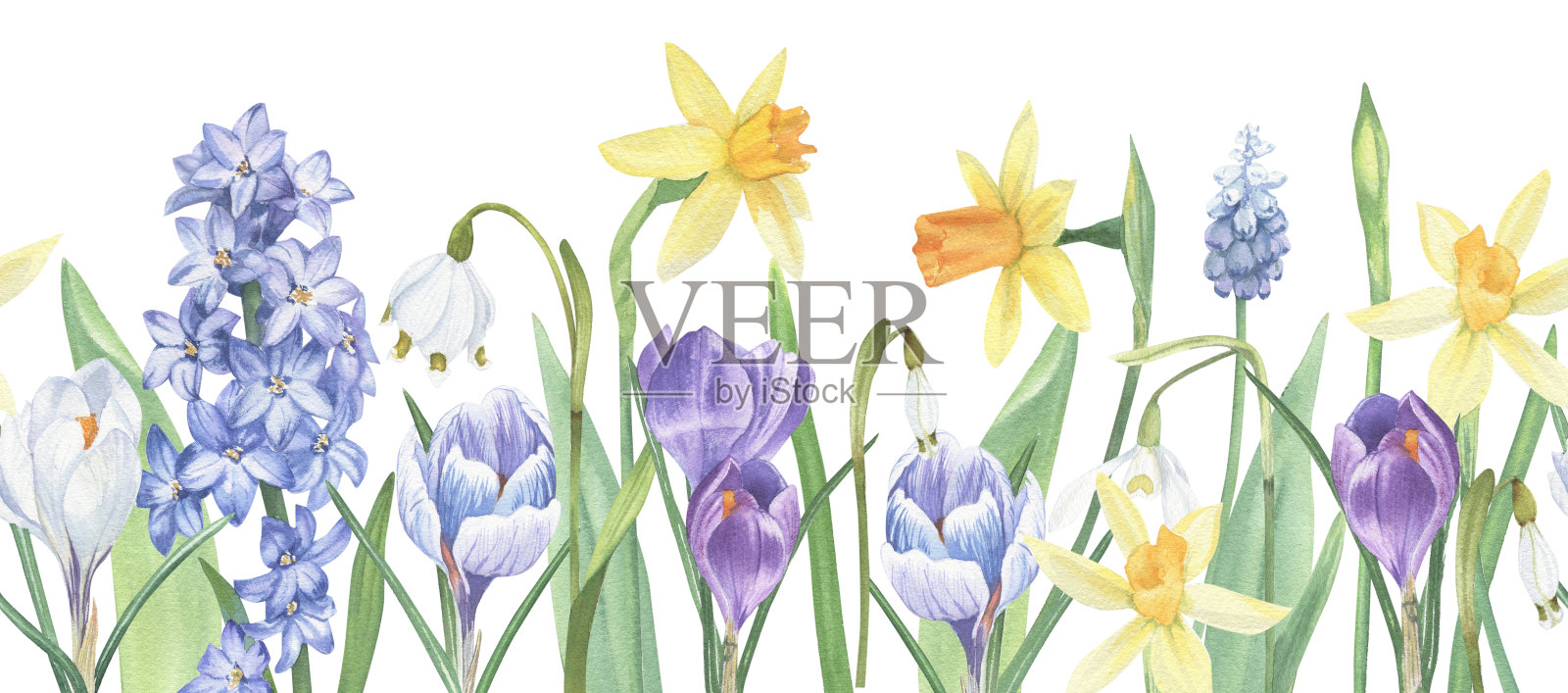 水彩画的春天花朵和树叶的无缝边界。插画图片素材