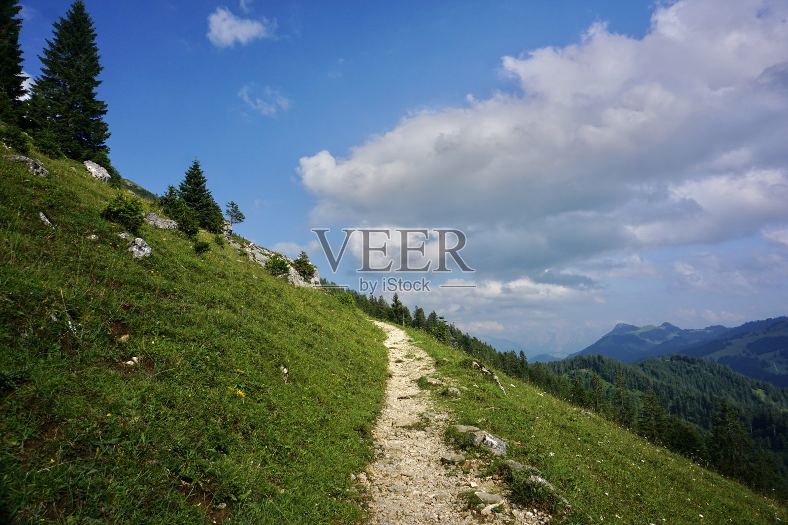 夏天下山的山路。在阿尔卑斯山的绿色山坡上可供散步的小径。夏日阿尔卑斯山上的步行小径。夏天远足。照片摄影图片