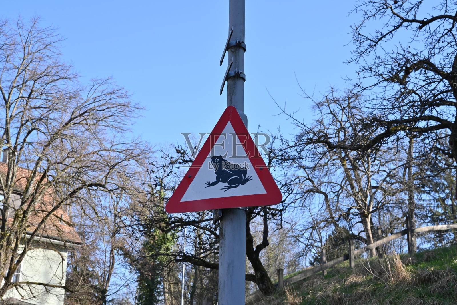 两栖动物迁徙交通标志放置在金属杆子上。照片摄影图片