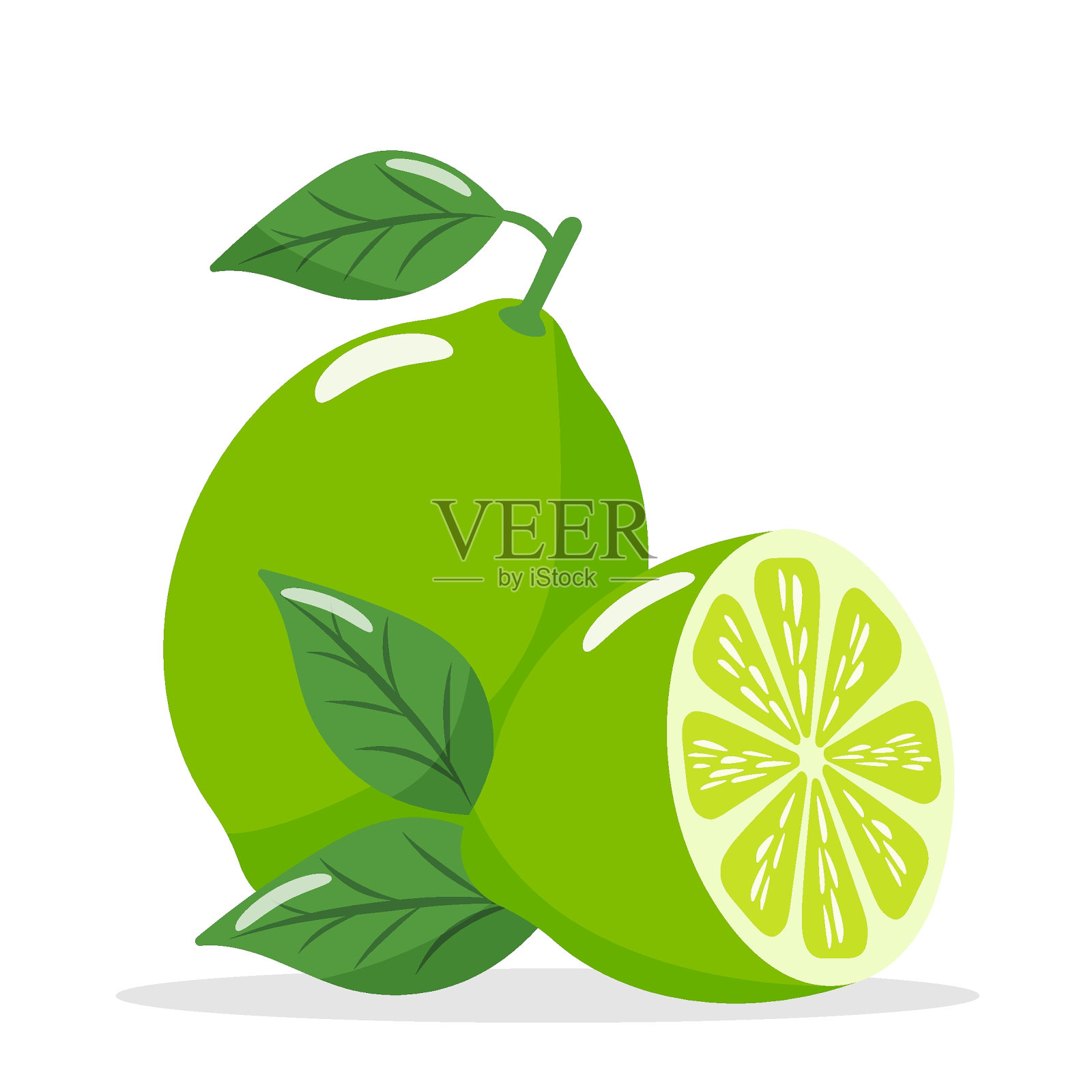 整个石灰与半白色背景与阴影设计元素图片