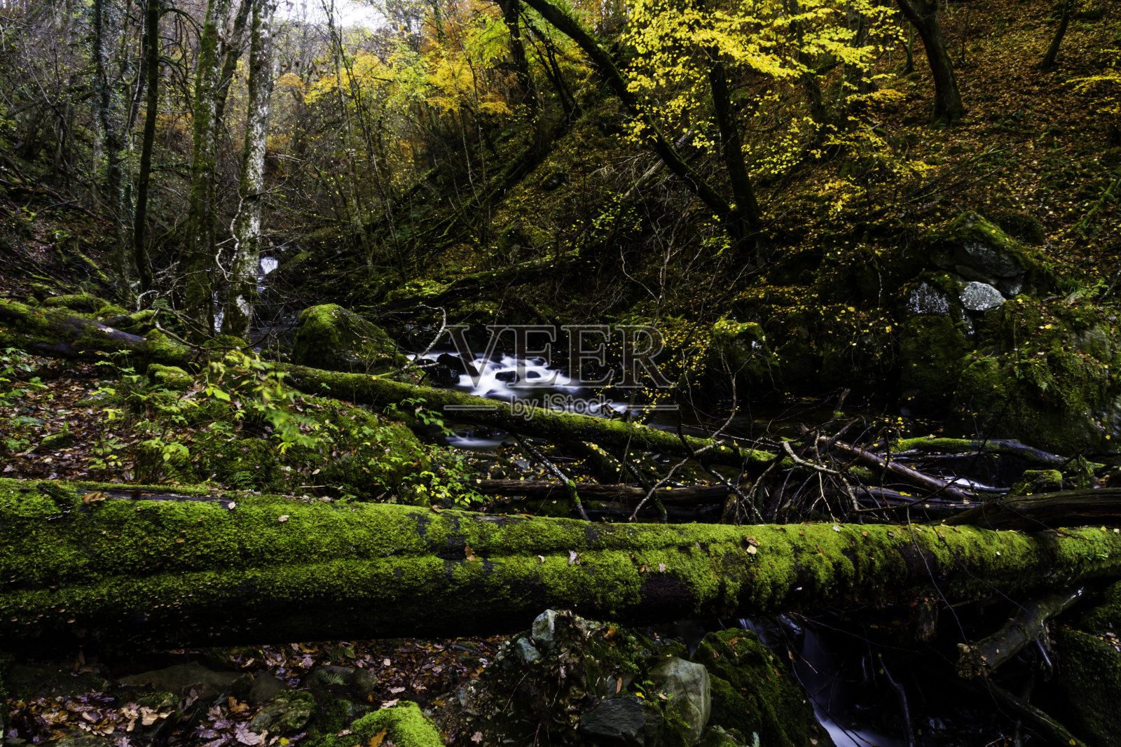 秋天或秋天的英国森林落叶和河流。照片摄影图片