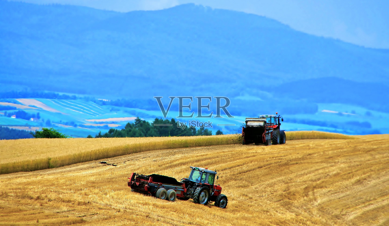 北海道Biei的小麦山照片摄影图片