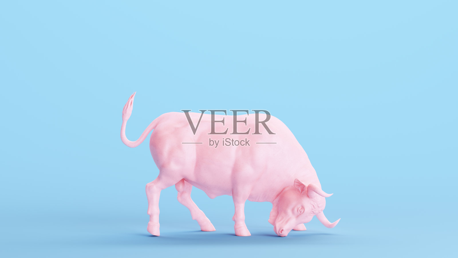 粉红牛强壮强壮看涨货币市场激进的商业金融符号照片摄影图片