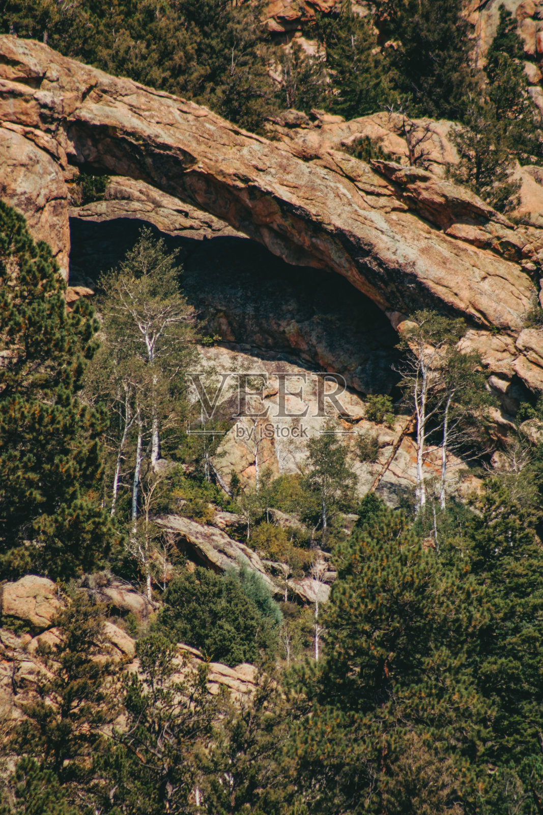 克劳迪奥·内托·CL照片摄影图片