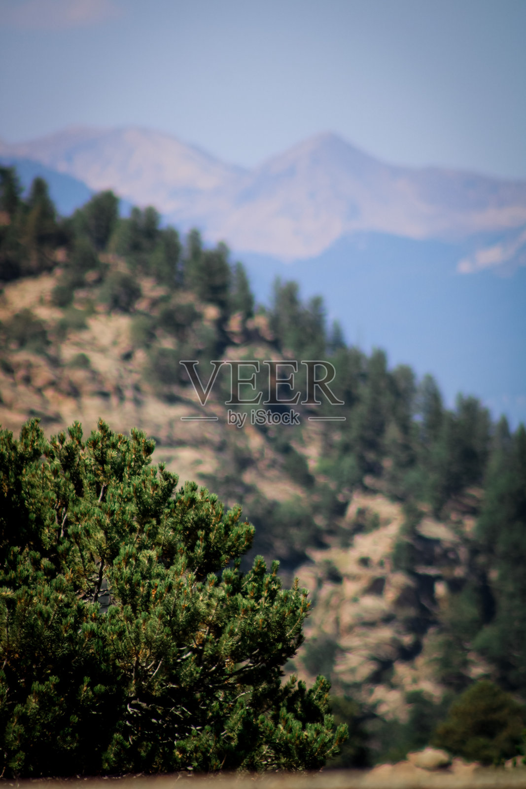 克劳迪奥·内托·CL照片摄影图片