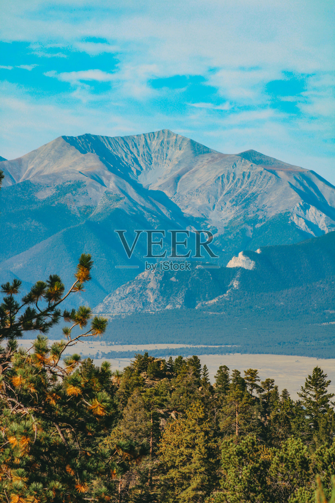 克劳迪奥·内托·CL照片摄影图片