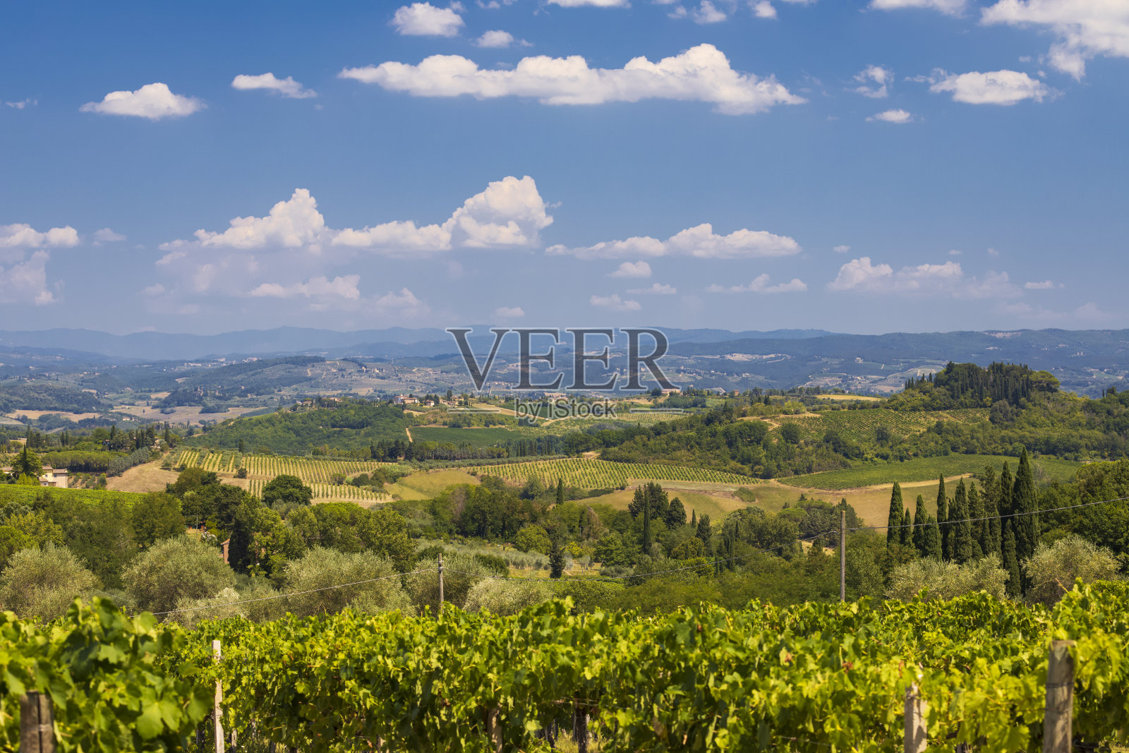 意大利托斯卡纳,圣吉米尼亚诺附近的葡萄园照片摄影图片