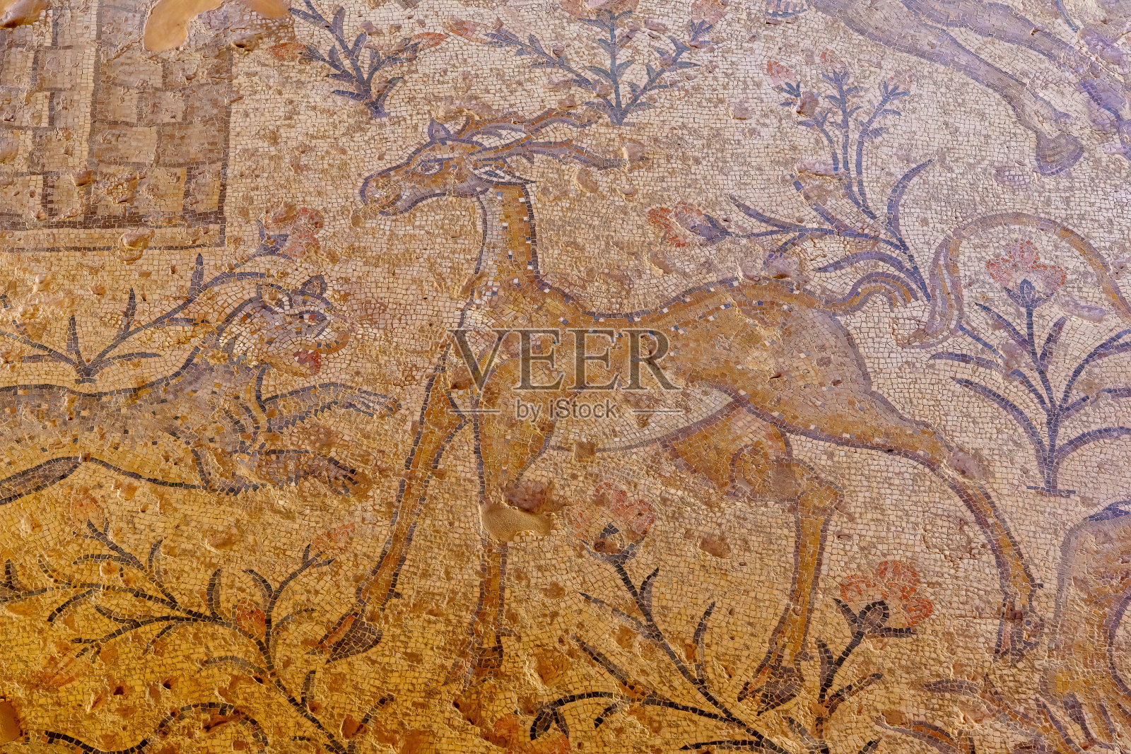 古罗马马赛克地板的尼罗河房子,茨波里照片摄影图片