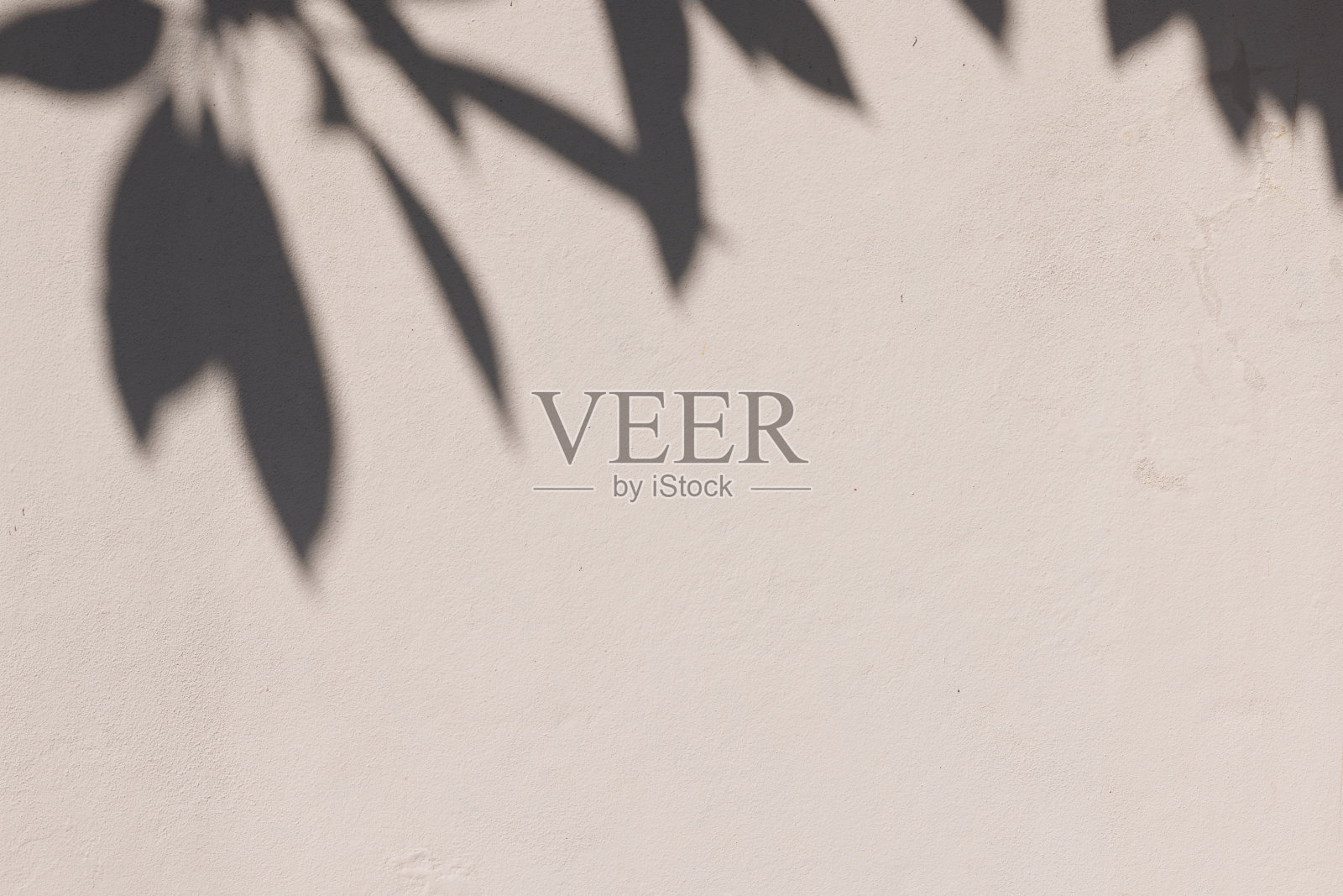 一面墙的一部分,周围有树木的影子照片摄影图片