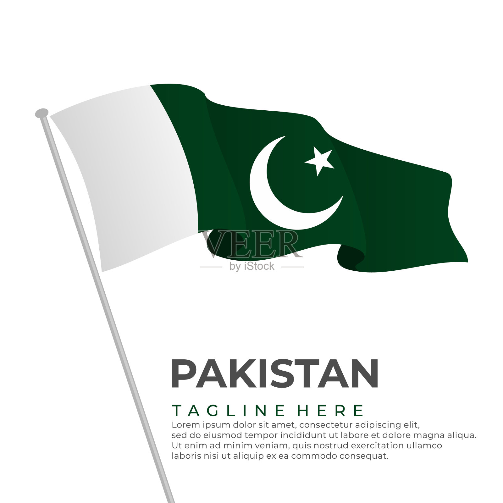 模板矢量巴基斯坦国旗现代设计插画图片素材