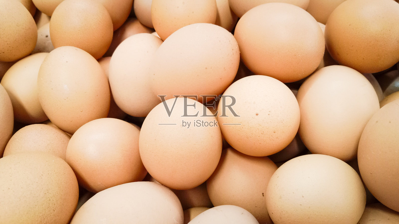 鸡蛋照片摄影图片