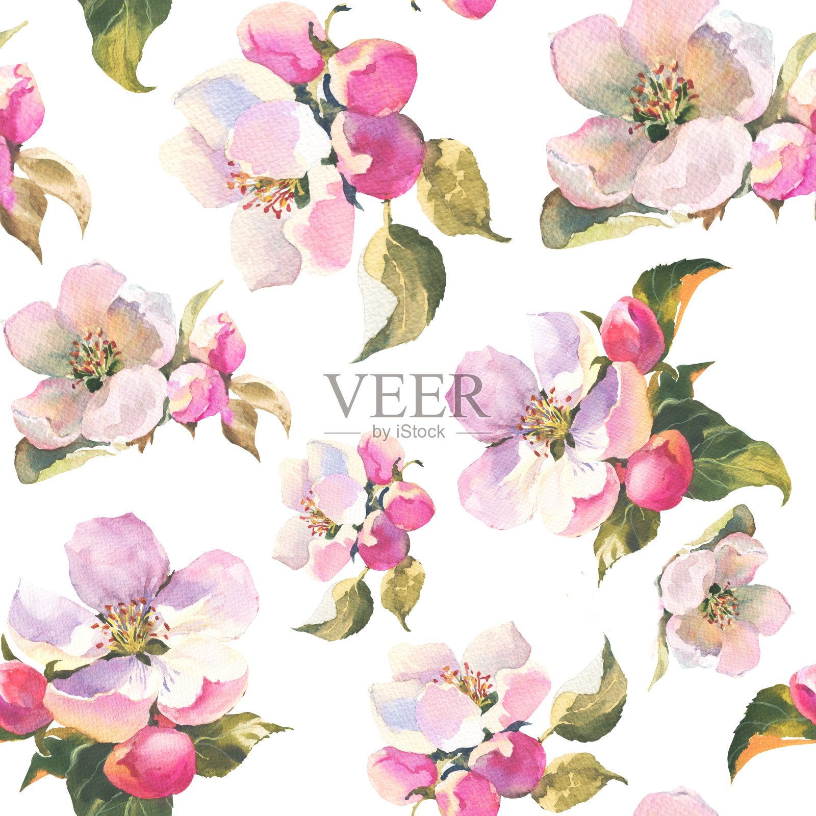 无缝模式与水彩插图的苹果花。它是完美的壁纸,织物设计,纺织品设计,封面,包装纸,表面纹理。插画图片素材