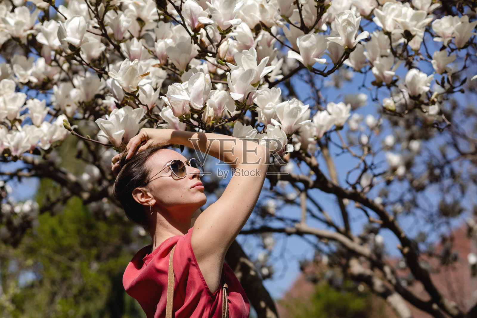在春天的花园里,一位穿着红裙子、戴着墨镜的年轻美女正在欣赏盛开的白玉兰照片摄影图片