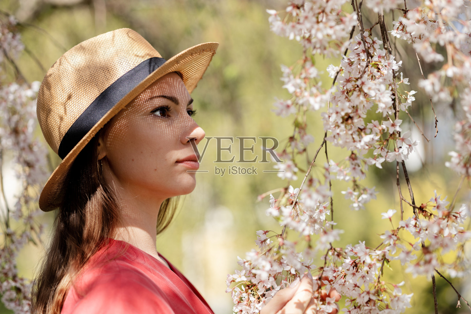 一个年轻美丽的女子戴着草帽,在春天的花园里欣赏白色明亮的樱花照片摄影图片