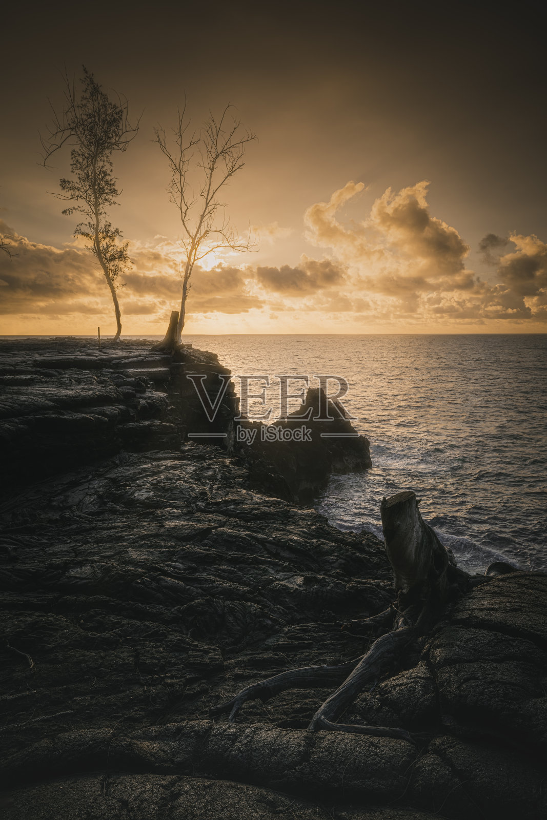 夏威夷海岸清晨的熔岩田照片摄影图片