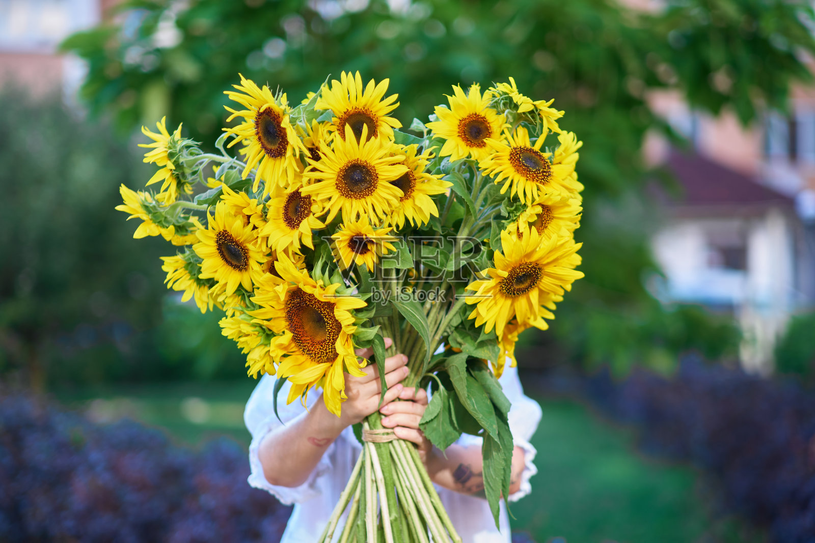 一个不认识的女人手里捧着一束黄色的向日葵照片摄影图片