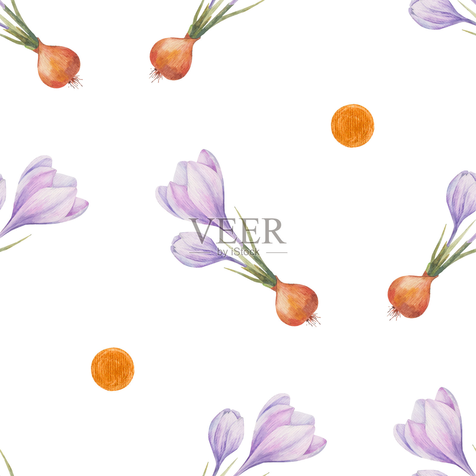 番红花的模式。藏红花。无缝模式与紫色番红花。透明背景上的无缝矢量图案。背景说明。包装的背景插画图片素材