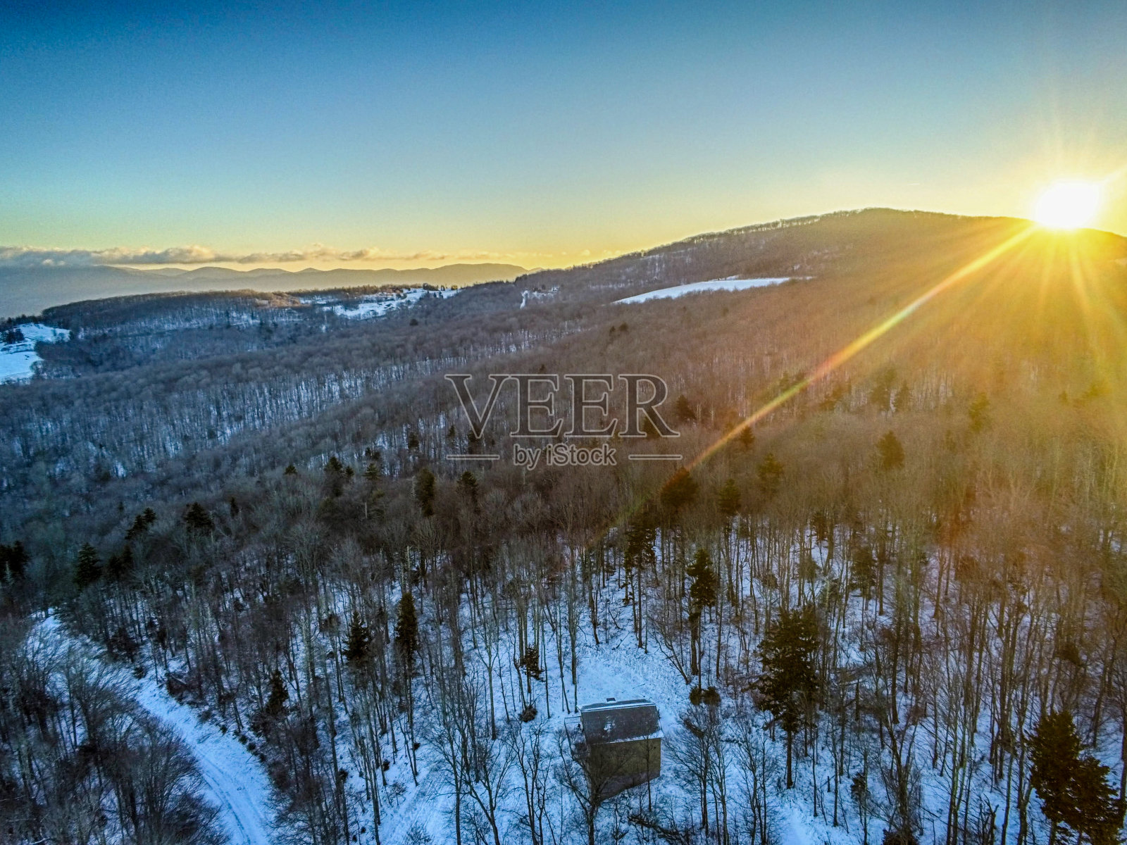 北卡罗莱纳的旗帜麋鹿一月冬天的场景照片摄影图片