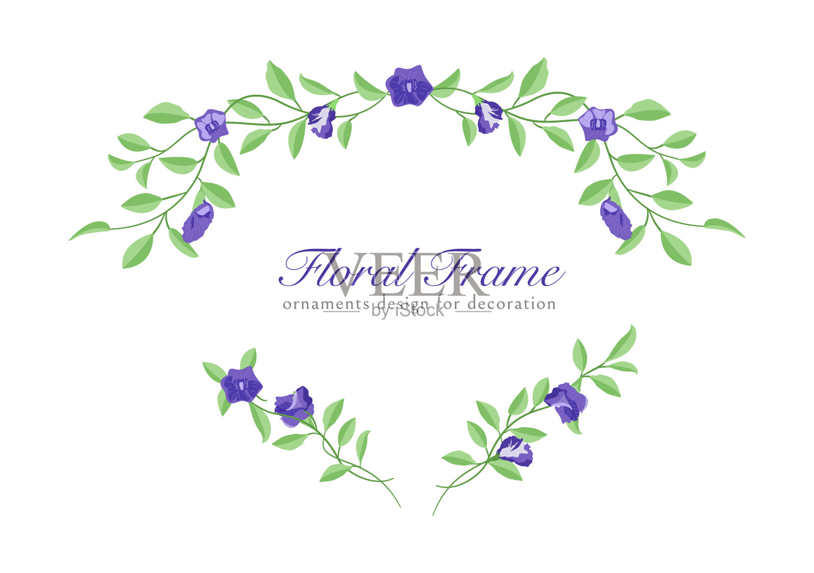 叶子与蝴蝶豌豆花装饰矢量收集05插画图片素材