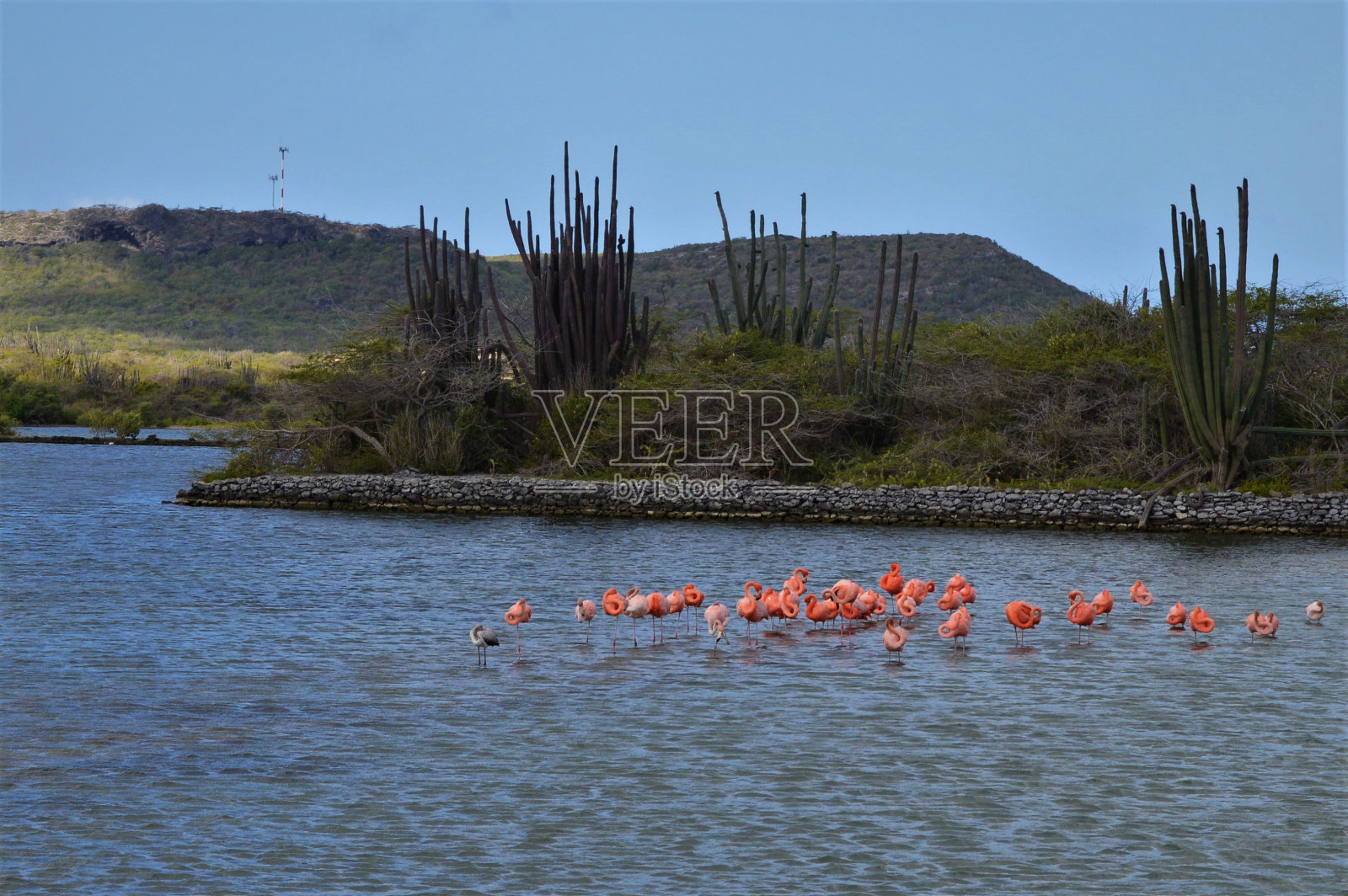 Curaçao照片摄影图片