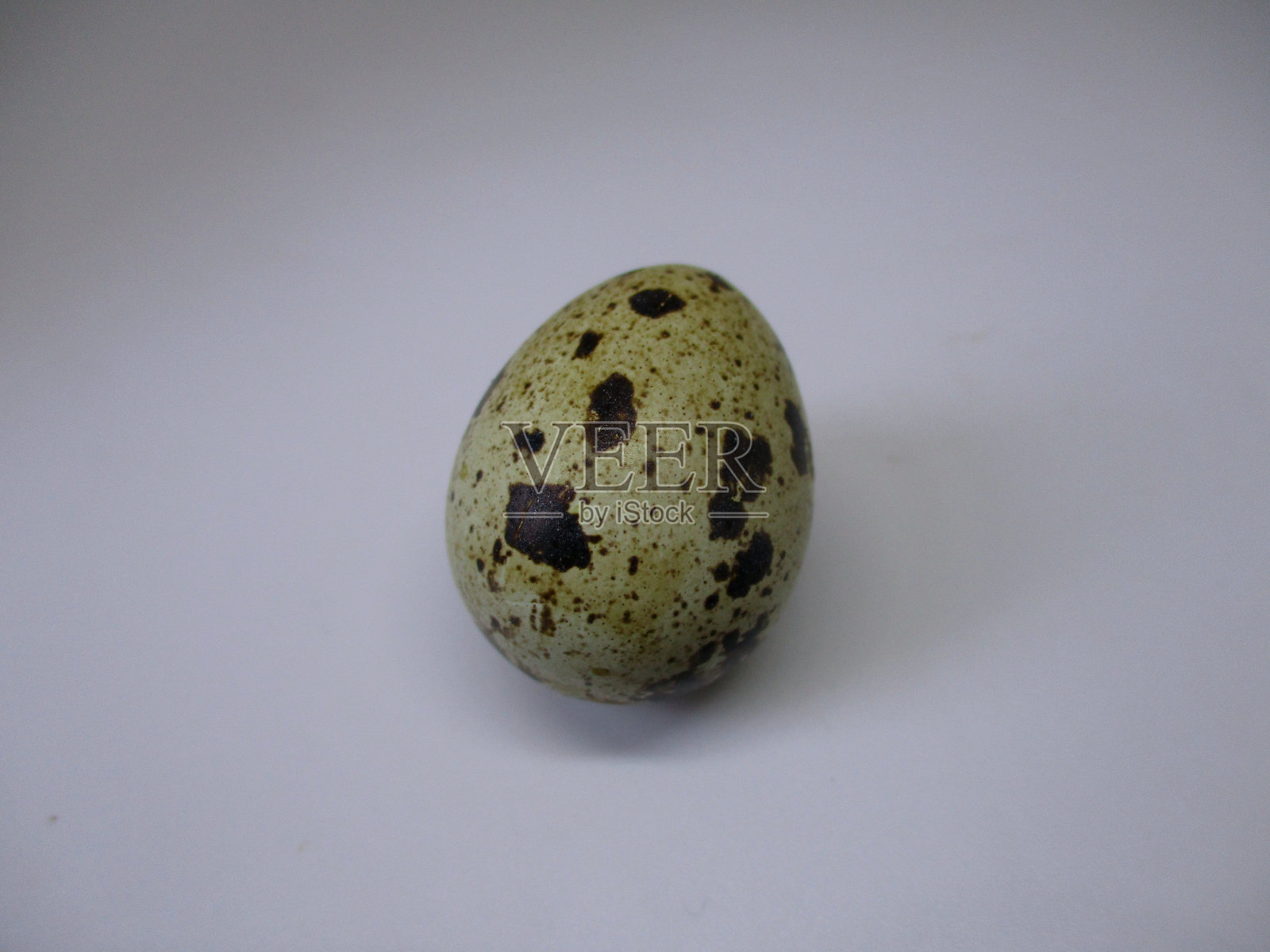 白色背景的鹌鹑蛋照片摄影图片