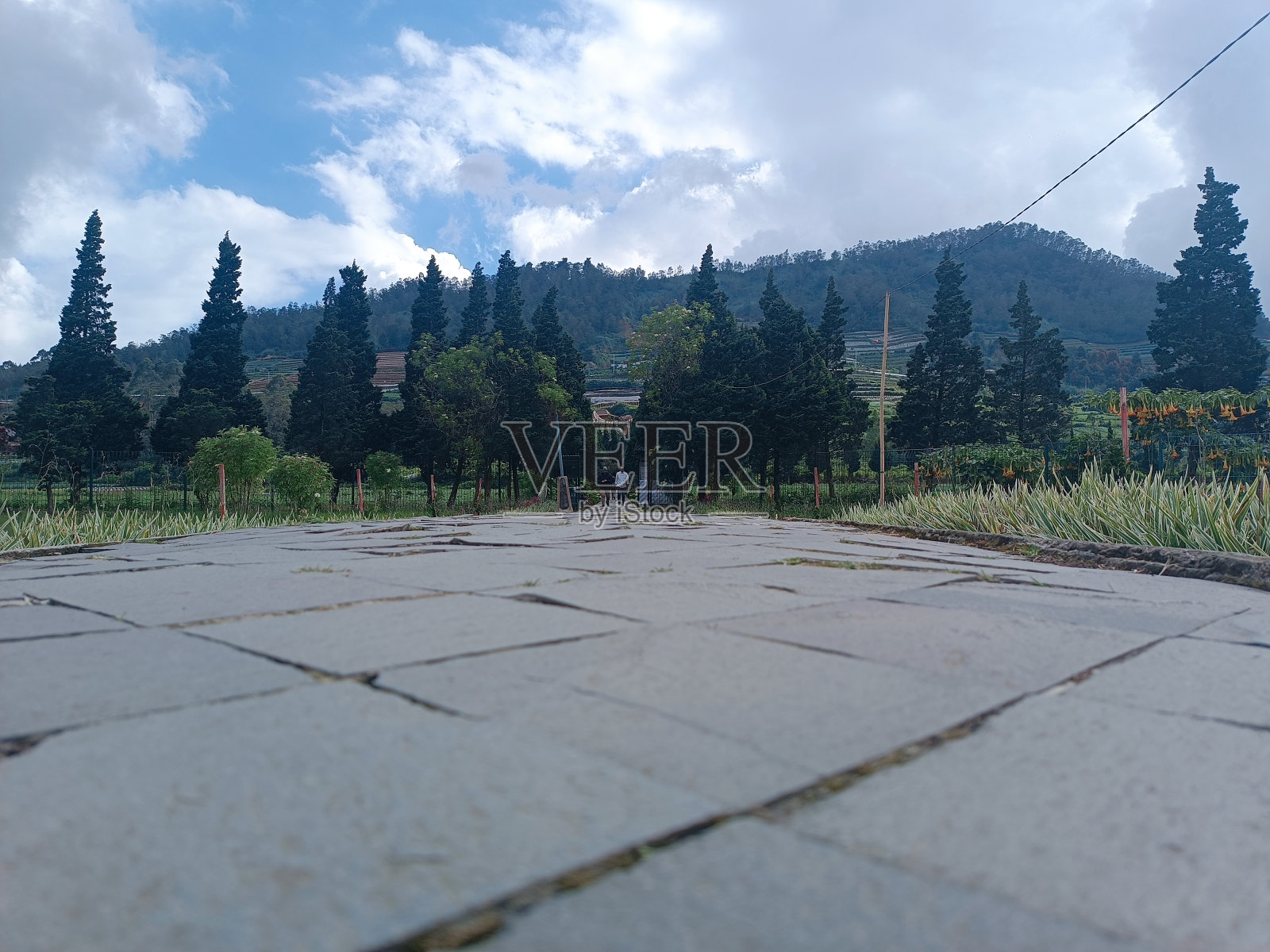 度假的女孩照片摄影图片