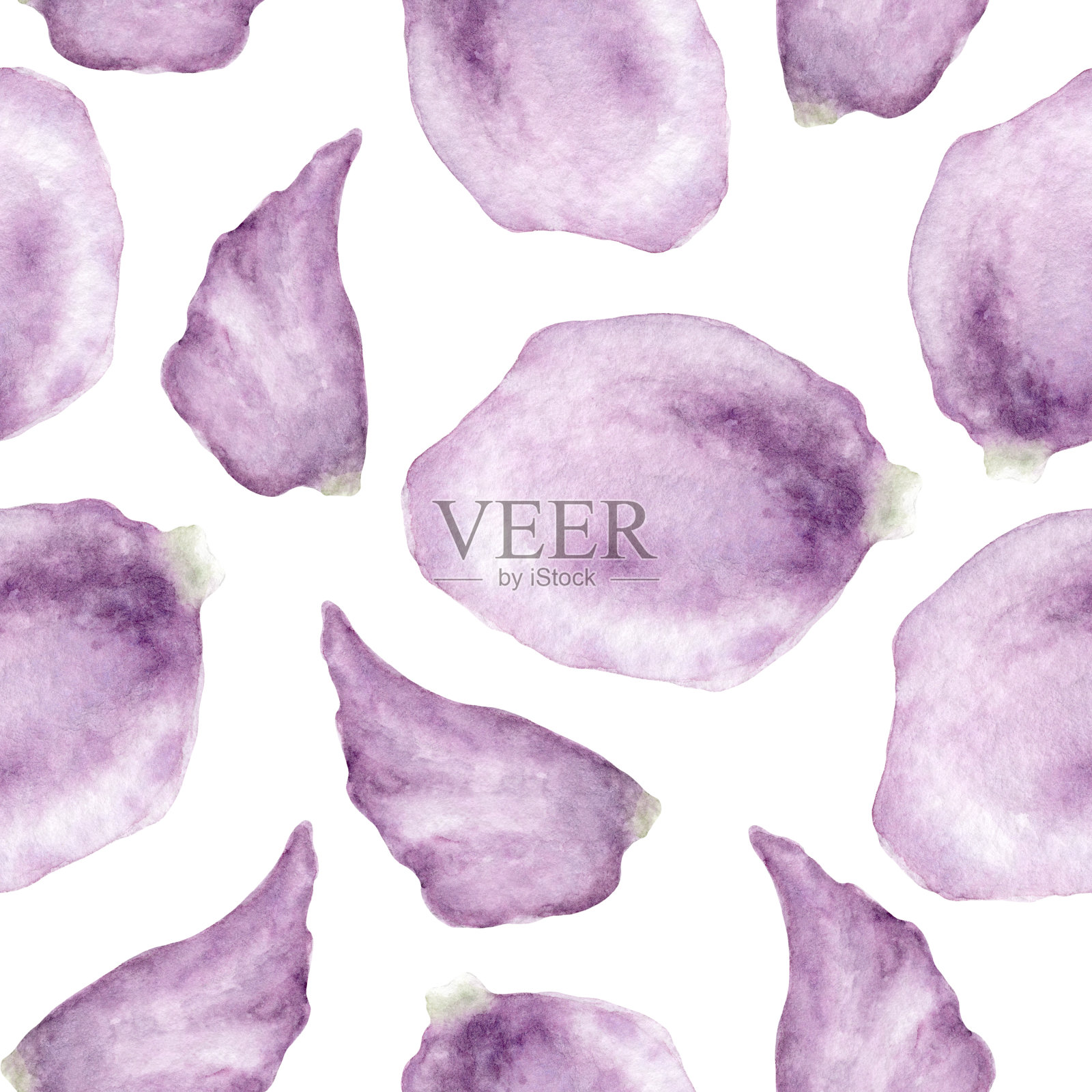 灰紫色玫瑰水彩花瓣花无缝模式插画图片素材