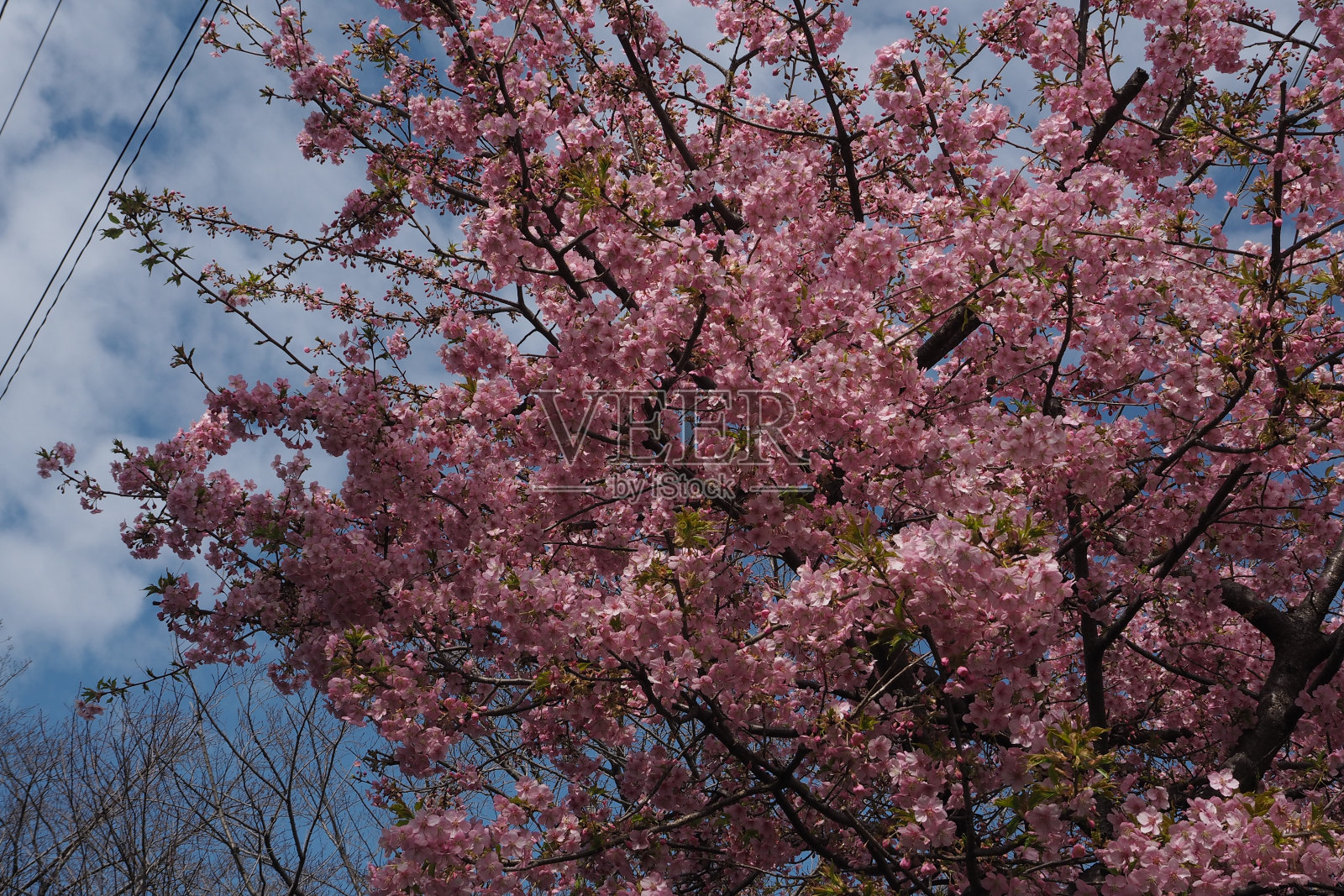 日本人日常生活照片摄影图片