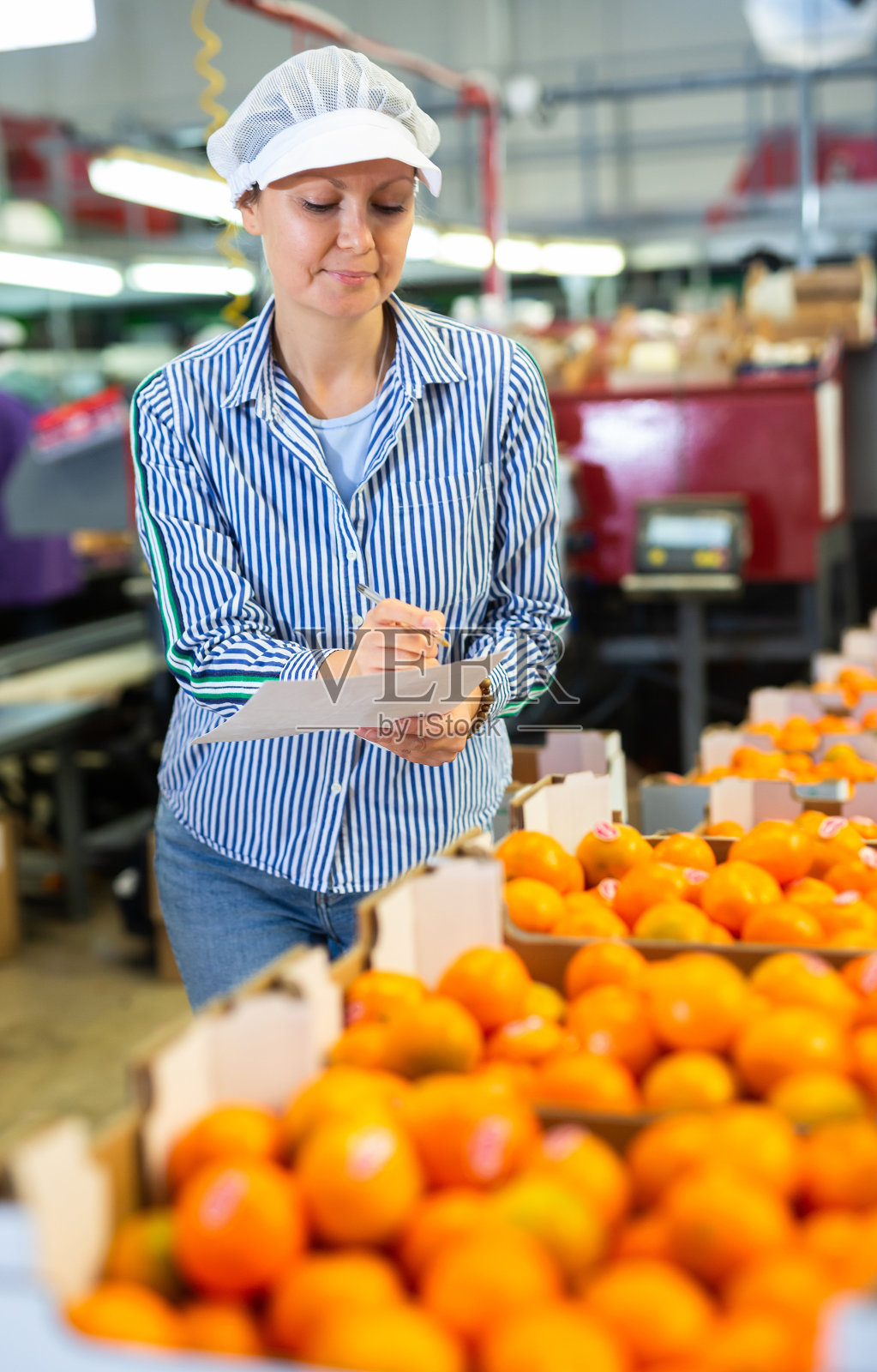 积极的女工在柑橘加工厂填写文件。照片摄影图片
