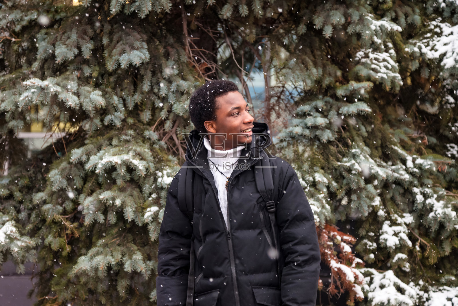 非裔美国人摆姿势在雪的冬天在冷杉树背景,看向别处。肖像微笑的黑人走在云杉附近,飘落的雪户外。生活方式活动概念。复制广告文字空间照片摄影图片