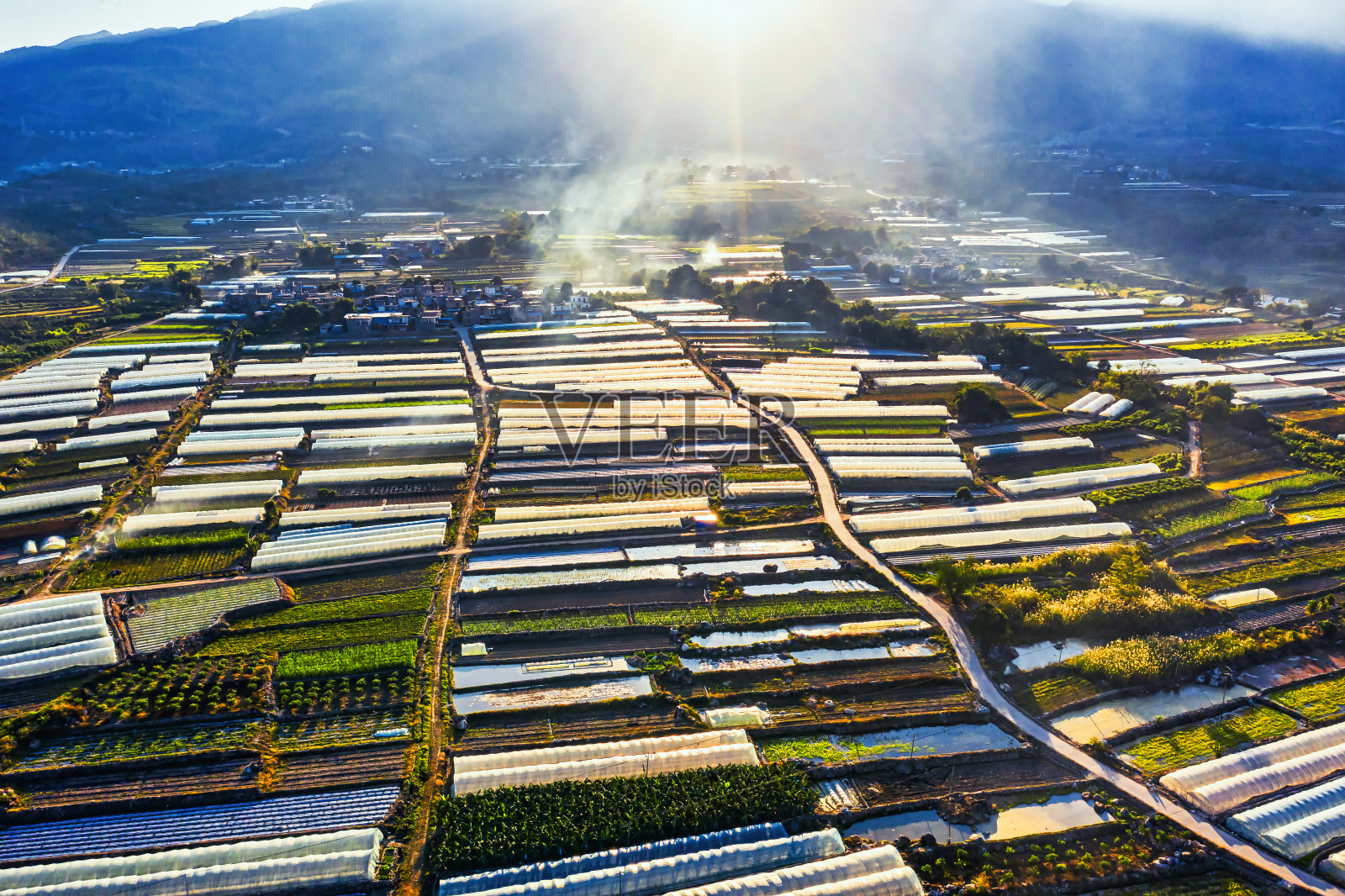 温室鸟瞰图照片摄影图片