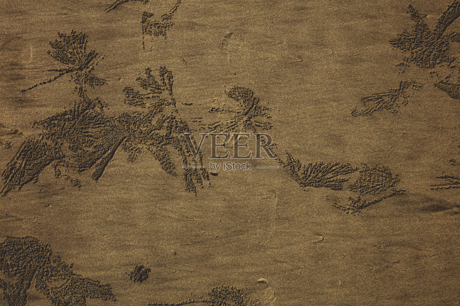 库克斯巴扎是孟加拉照片摄影图片