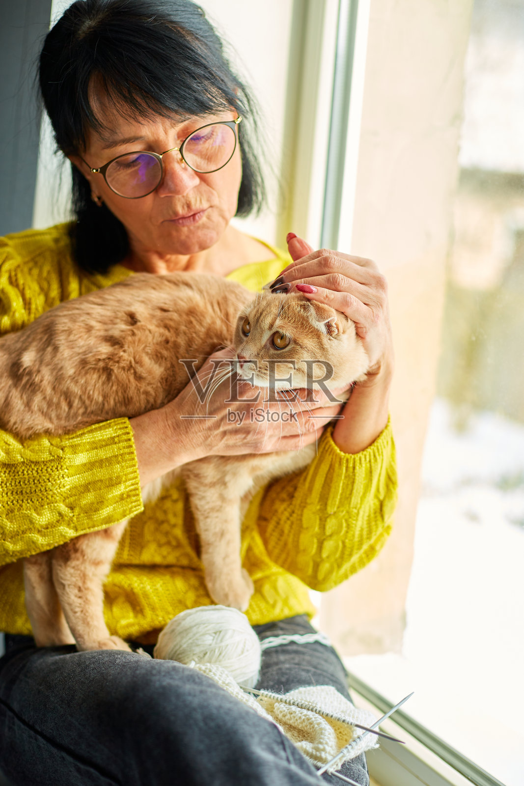 成熟的女人针织抱着可爱的苏格兰猫,坐在窗台上在家里。照片摄影图片
